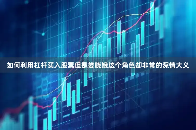 如何利用杠杆买入股票但是娄晓娥这个角色却非常的深情大义